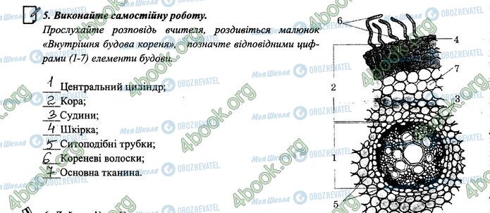 ГДЗ Биология 6 класс страница 26-27.5